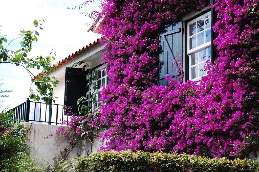 Casa De Esteiro Caminha Zimmer foto